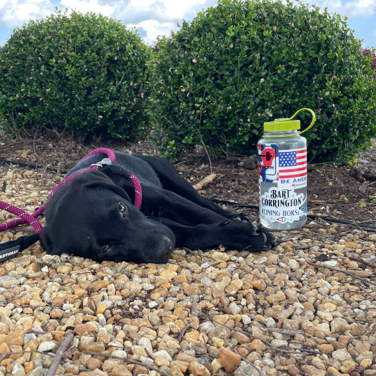 Barbell Sticker - Dark Blue