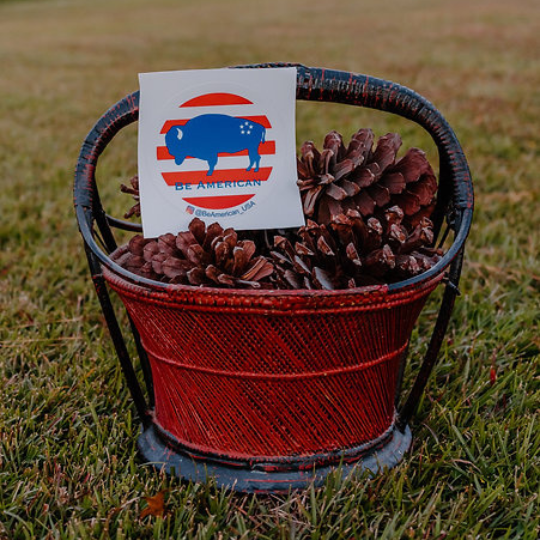 Bison Sticker